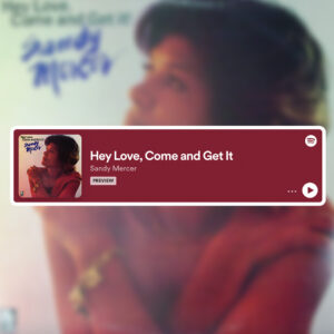 Download or stream "Hey Love, Come and Get It" by Sandy Mercer on your favorite music platform.